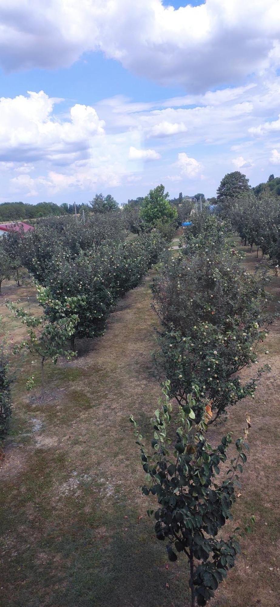 Salas Farma 47-Miris Dunja Cenej Eksteriør billede